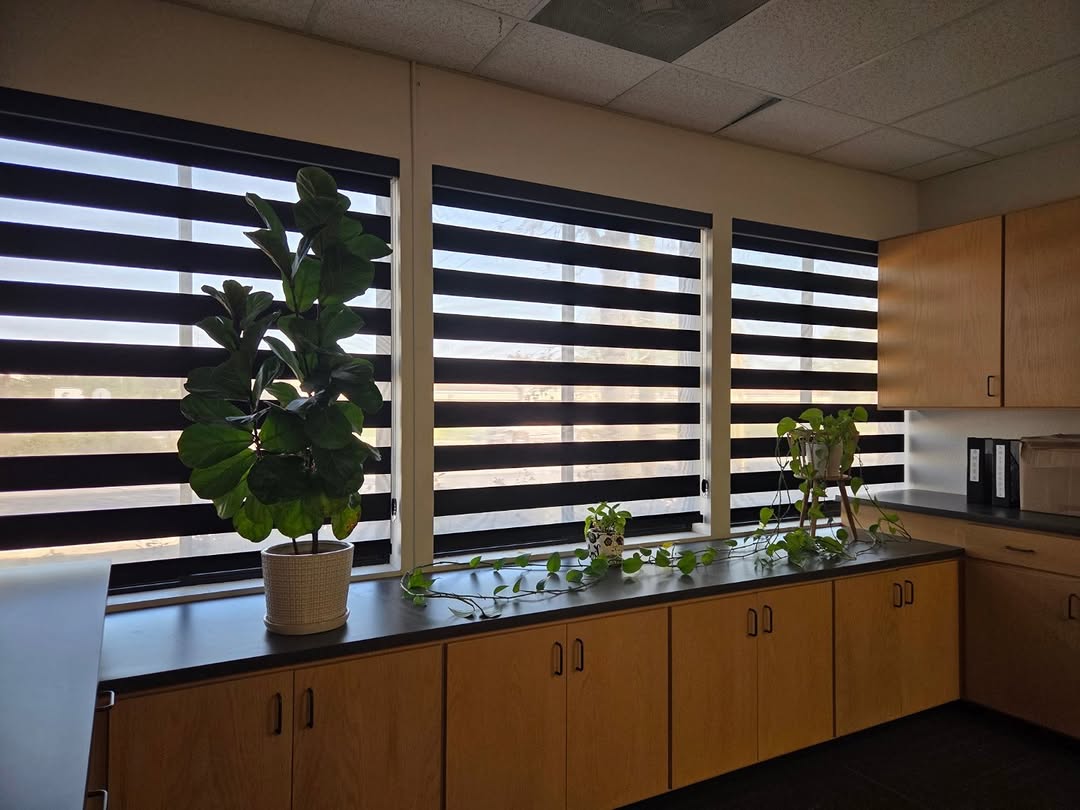 Office windows fitted with black zebra shades showing alternating sheer and solid bands